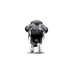 Charm Pingüino Esquiador