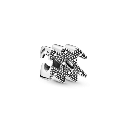 Charm del zodíaco Acuario resplandeciente