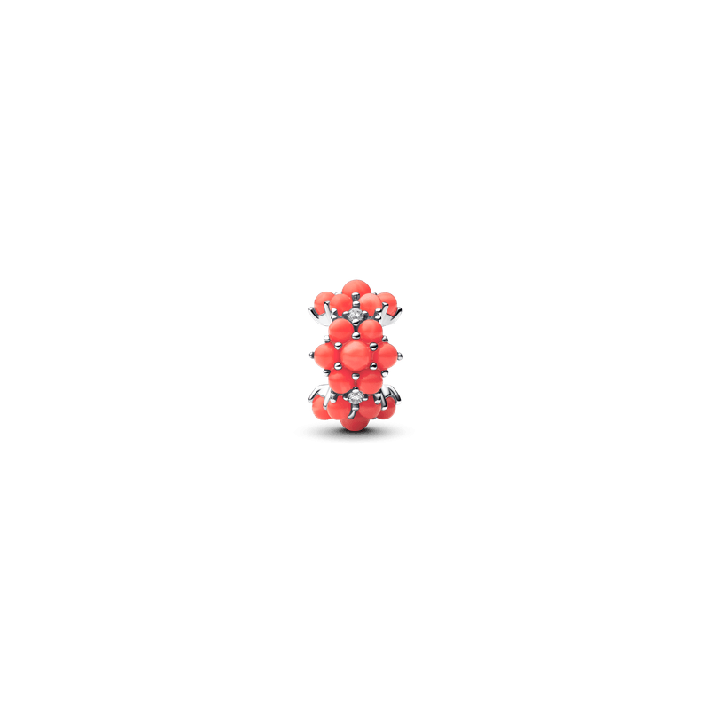 Charm Océano de Color Coral