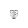 Charm Corazón y Monstruitos de Mamá