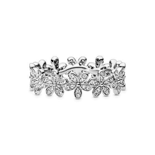 Anillos